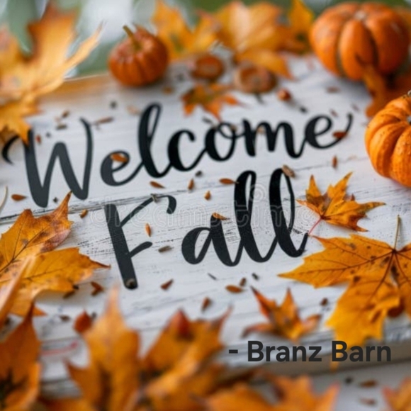 Meet your Posher, Bran - Picture 4 of 9